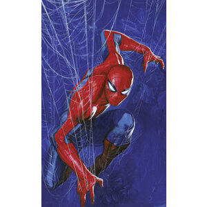 Spiderman Spiderman Vlies Behang Web - 150x250 cm