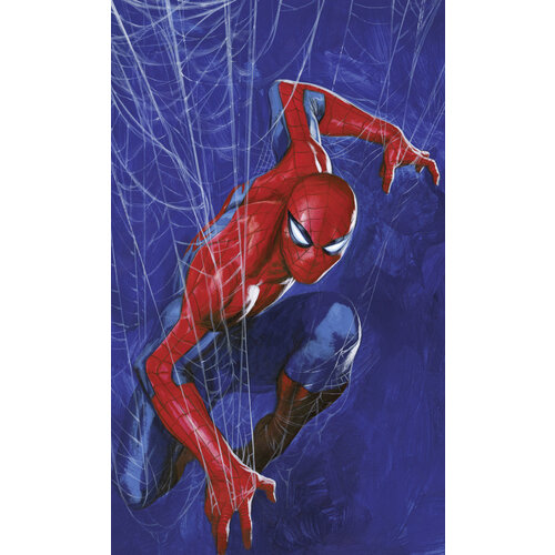 Spiderman Spiderman Vlies Behang Web - 150x250 cm