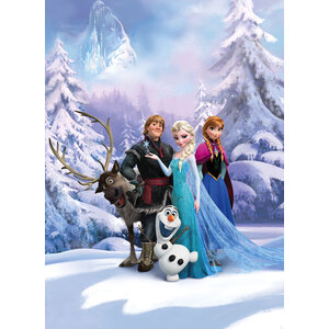 Frozen Disney Frozen Behang - 184x254 cm - Winter Land
