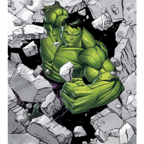 Avengers The Avengers Vlies Behang Hulk - 250x280 cm - Marvel
