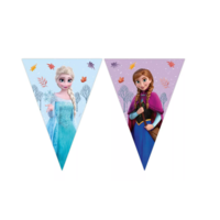 Disney Frozen Vlaggenlijn - FSC