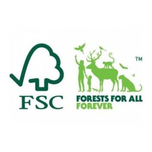 Gabby's Poppenhuis 6 Gabby's Poppenhuis Feesthoedjes - FSC