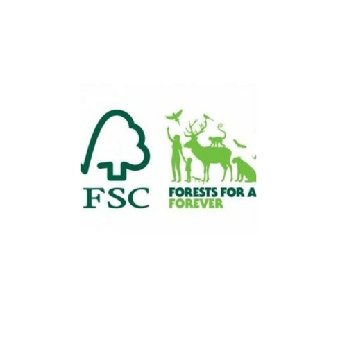 Pokemon 6 Pokemon Feesthoedjes FSC - Karakters Pokemon 6 Pokemon Feesthoedjes FSC - Karakters