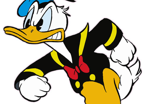 Muurstickers, Raamstickers en Posters