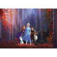 Disney Frozen Vlies Behang - 400x280 cm - Autumn