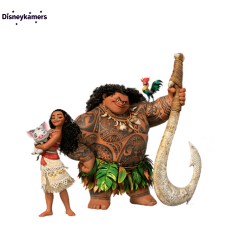 Disney Vaiana artikelen (Moana)