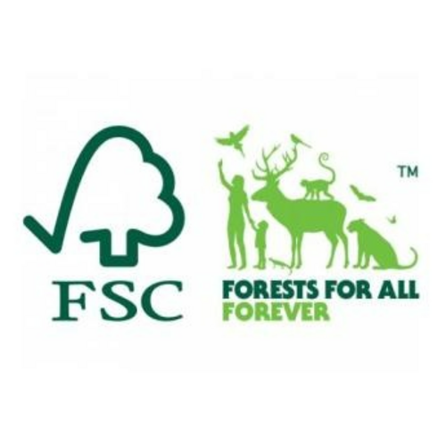 Vaiana 4 Vaiana Rietjes - Disney