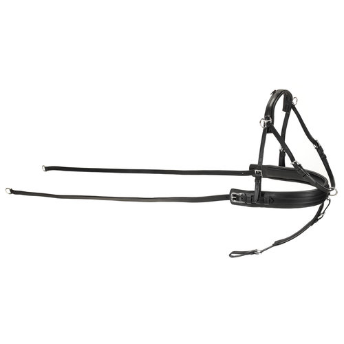 Kieffer Kieffer Singleharness Leather Black Pony