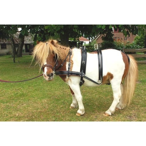 Kieffer Kieffer Easy go pair harness Shetland