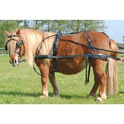 Kieffer driving harness Easy go Single synthetic Shetland
