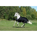 Bucas Bucas Turnout Pony Smartex Regen