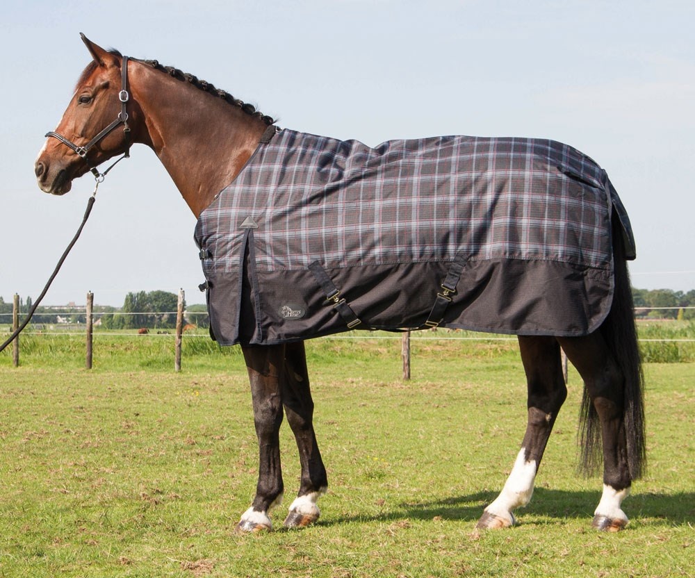 Van toepassing verteren redden Harry's Horse Outdoor deken Thor 400 grams met halsdeel