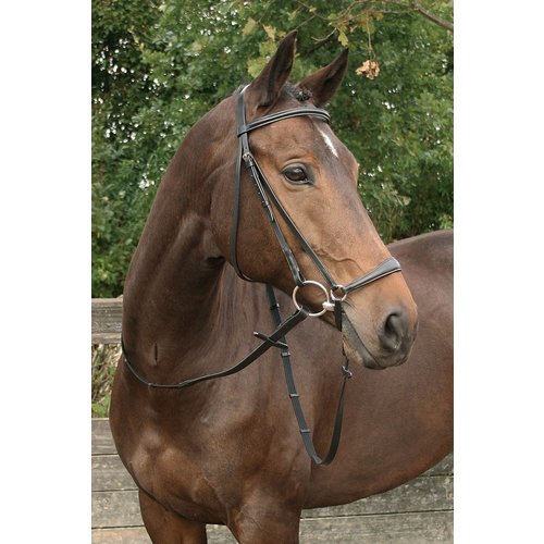 Harry's Horse Harry's Horse Bridle Bronze low noseband