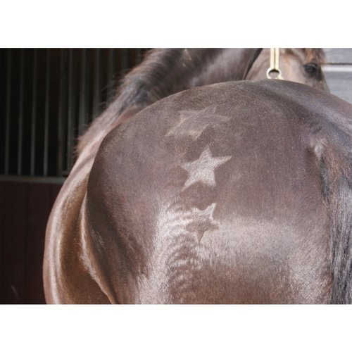 QHP QHP set brush patterns horse / pony