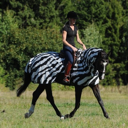 Bucas Bucas Buzz-Off Riding Zebra with neck