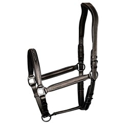 Harry's Horse Halter black leather Supreme