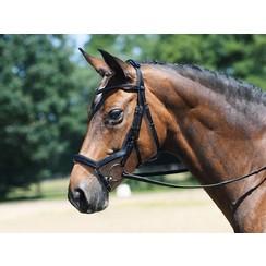 Busse Bridle Gefühl