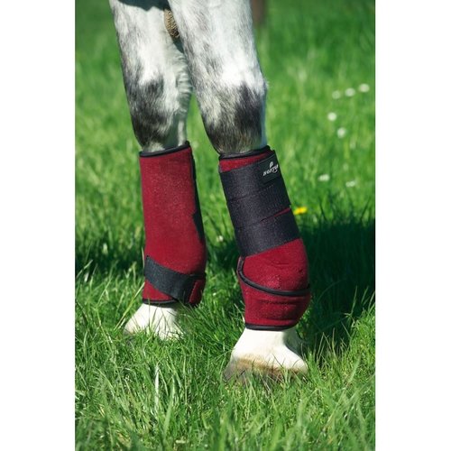 Ekkia Leg Protectors Allround Protection Norton size M