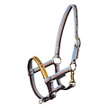 Harry's Horse Harrys Horse Fohlen Halter