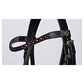 Harry's Horse Harry's Horse Bridle Diva Purple