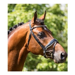 HB Showtime Bridle Grandprix