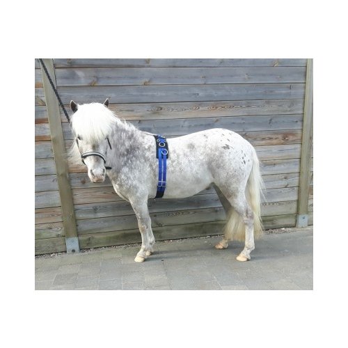 HB (handelsonderneming H. Bammens) HB Lunging Girth little sizes