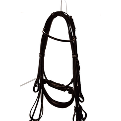 Kieffer Bridle