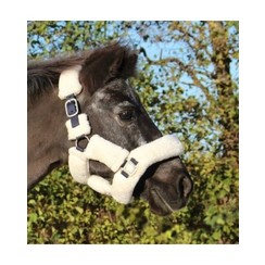 HB Showtime Harry and Hector Fluffy halter Navy