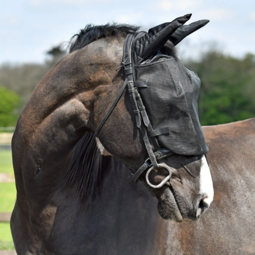 Equilibrium Equilibrium Riding Mask