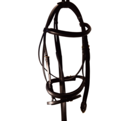 Kieffer Bridle with messing