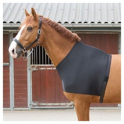Harry's Horse Chest protector Elastic