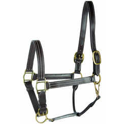 Harry's Horse Leder Halfter Braun