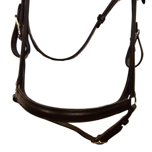 Training Bridle size Full