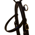 Training Bridle size Full