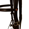 Kieffer Kieffer Bridle Carmen