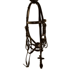 Kieffer Bridle Carmen