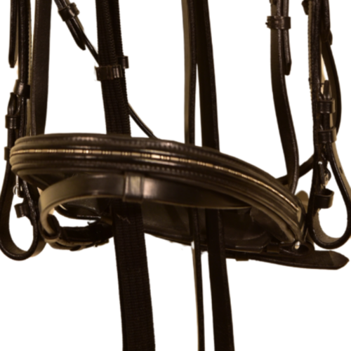 USG USG Bridle Beauty