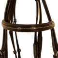 USG USG Bridle Beauty