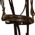 Kieffer Kieffer bridle cob