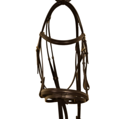 Kieffer Bridle Cob