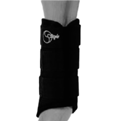 Style eventing beenbeschermers met carbon inlage