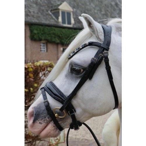 HB (handelsonderneming H. Bammens)  HB Head Bridle Showtime Special A-pony