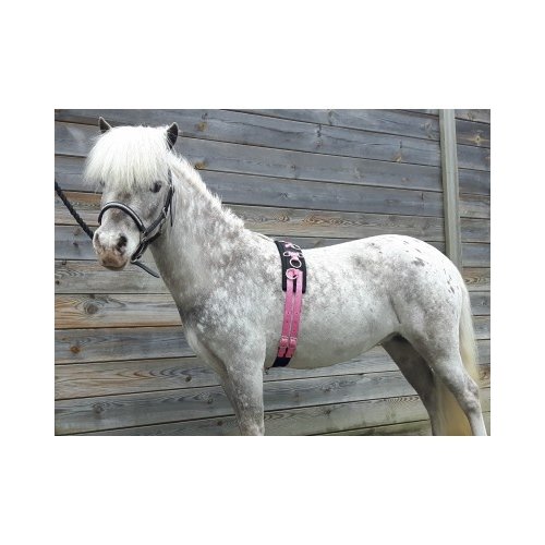 HB (handelsonderneming H. Bammens) HB Lunging Girth little sizes