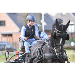 Kieffer  driving harness Single harness synthetic separate traces