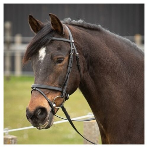 Harry's Horse Bridle Easy Care
