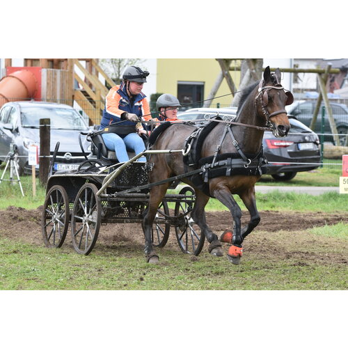 Kieffer Kieffer Single Harness Leather Brown Cob and Full