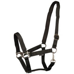 Harry's Horse Halster Padded