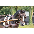 Kieffer Kieffer einspänner geschirr leder braun pony