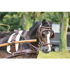 Kieffer singleharness leather brown pony