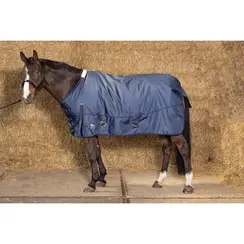 Harry's Horse Outdoordeken Xtreme 300 gram vulling